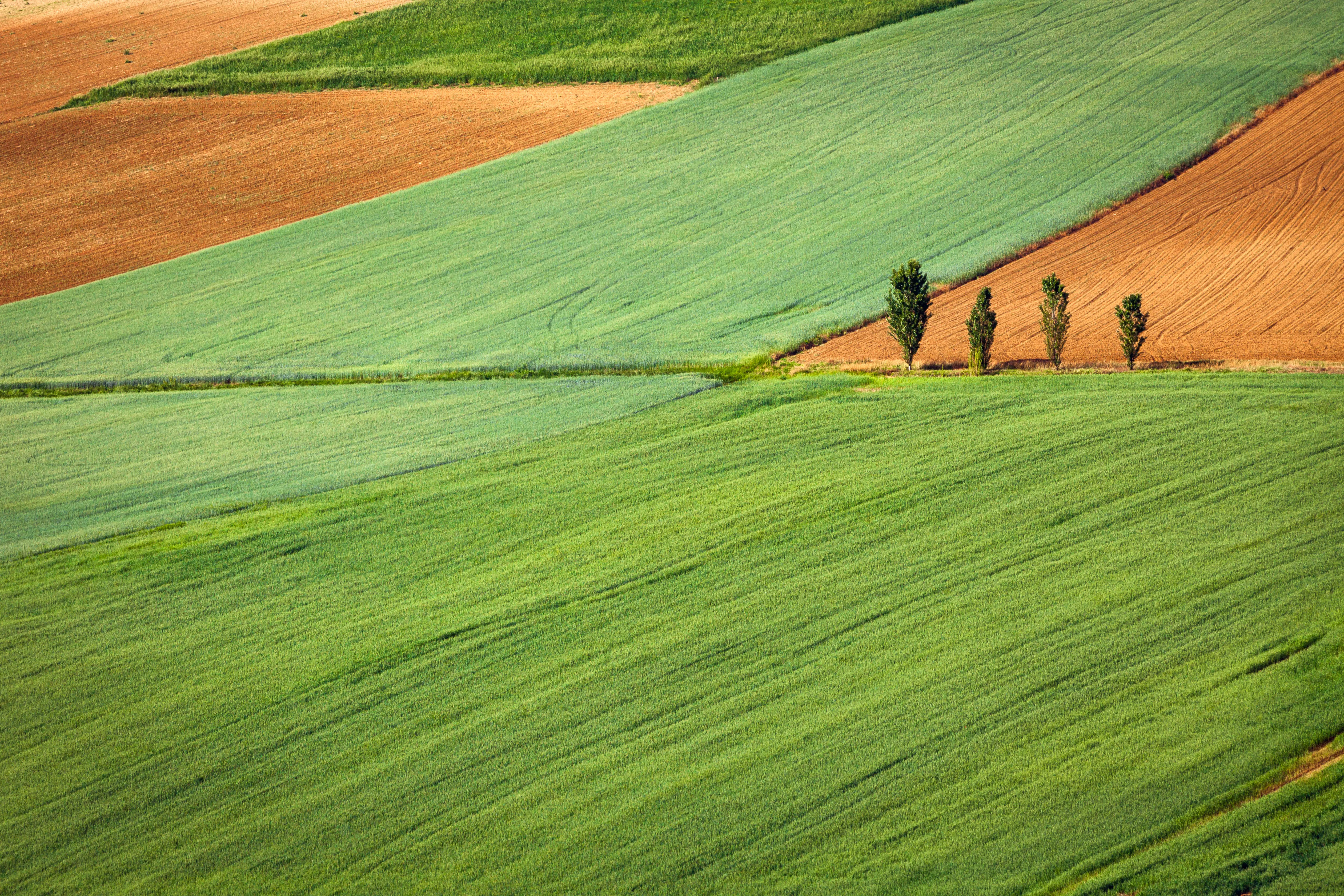Gaetano Cessati 124444 Unsplash