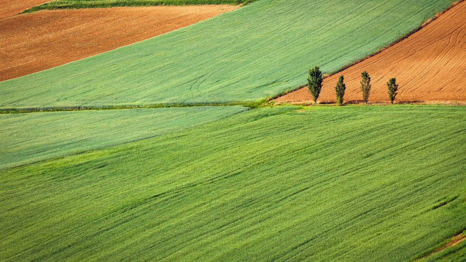 Gaetano Cessati 124444 Unsplash