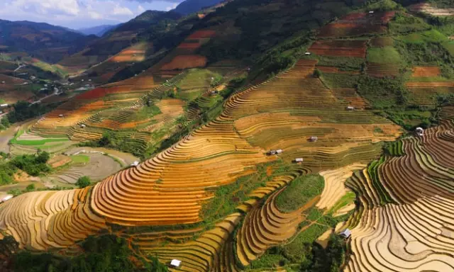 Agri