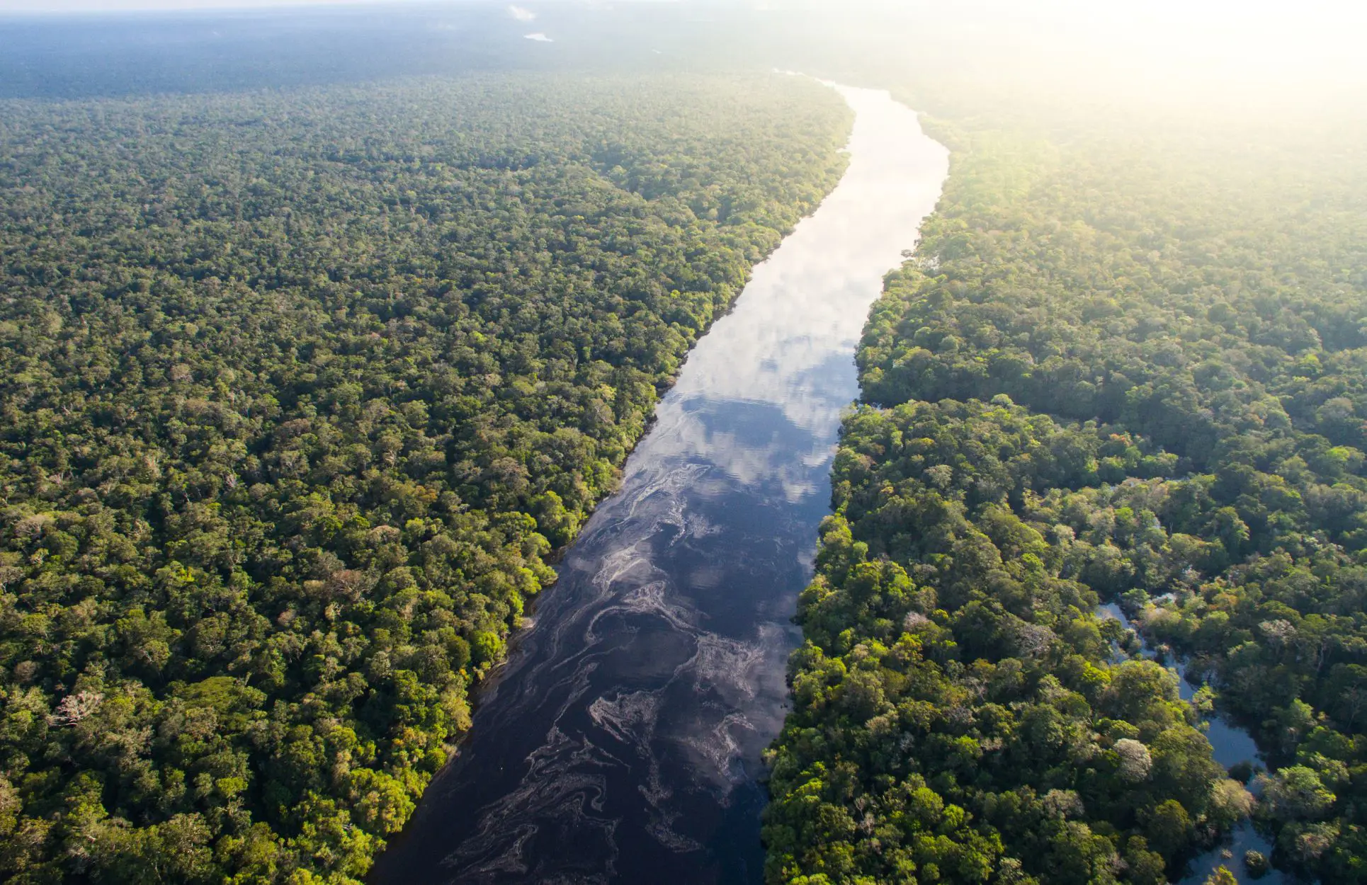 Amazon Rainforest Brazil 1930 X 1250