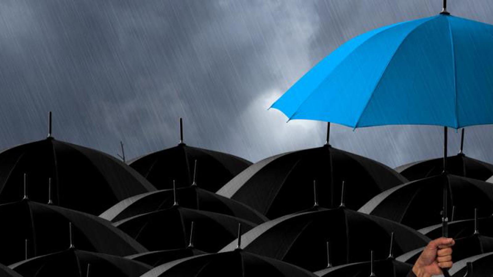 umbrella
