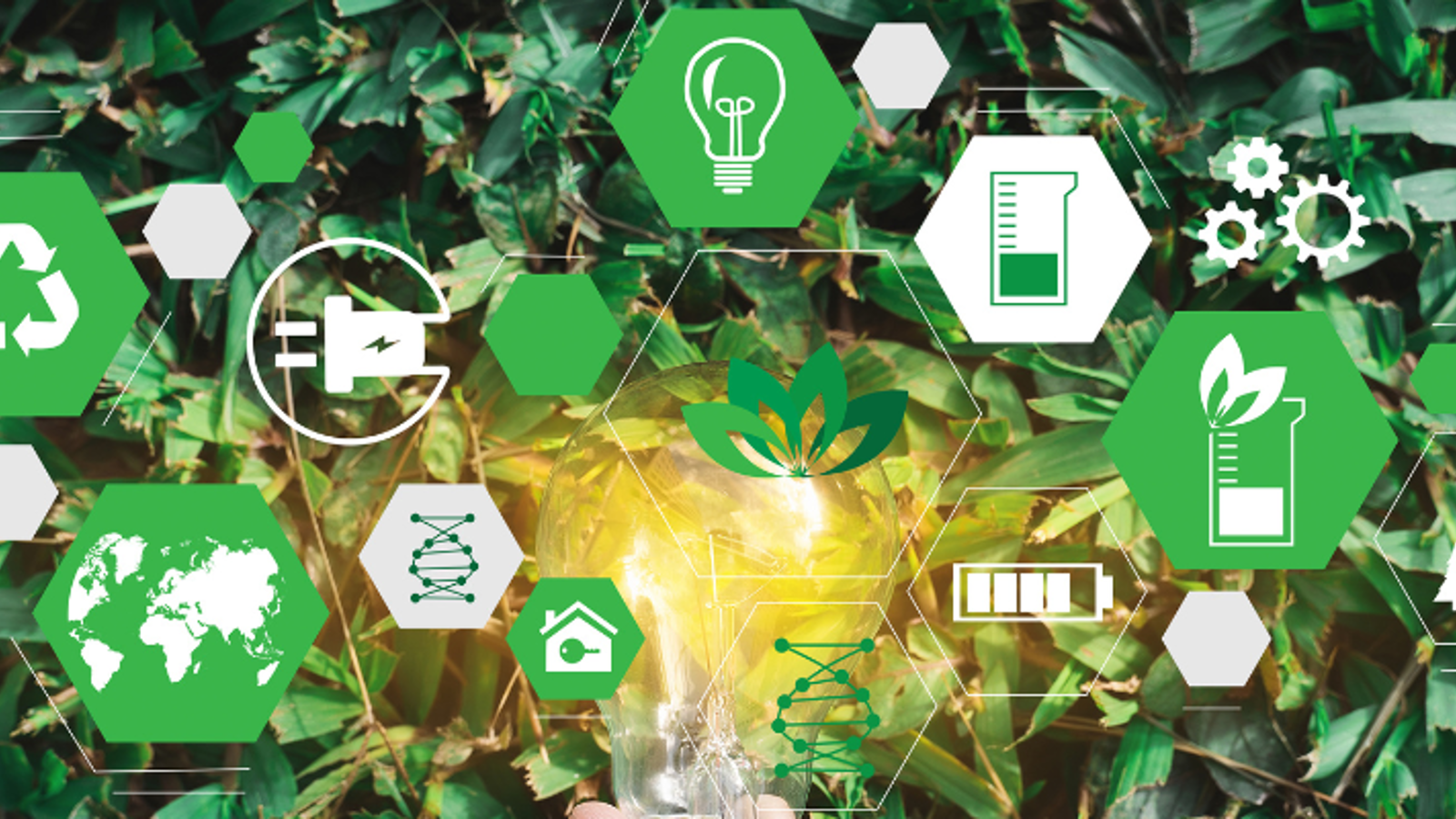 Sustainabilty Course page header