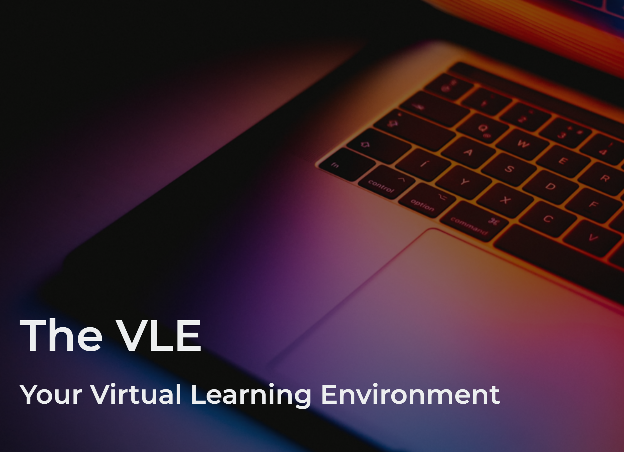 The VLE