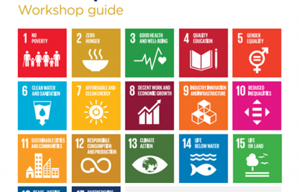 SDGs:  Workshop Guide