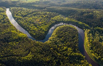 Biodiversity and nature related risks for actuaries: an introduction